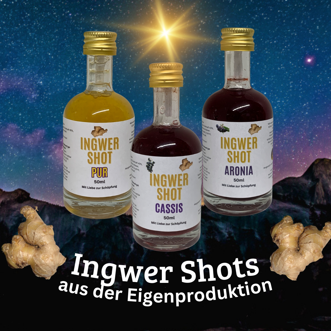 Ingwer Shot - Cassis