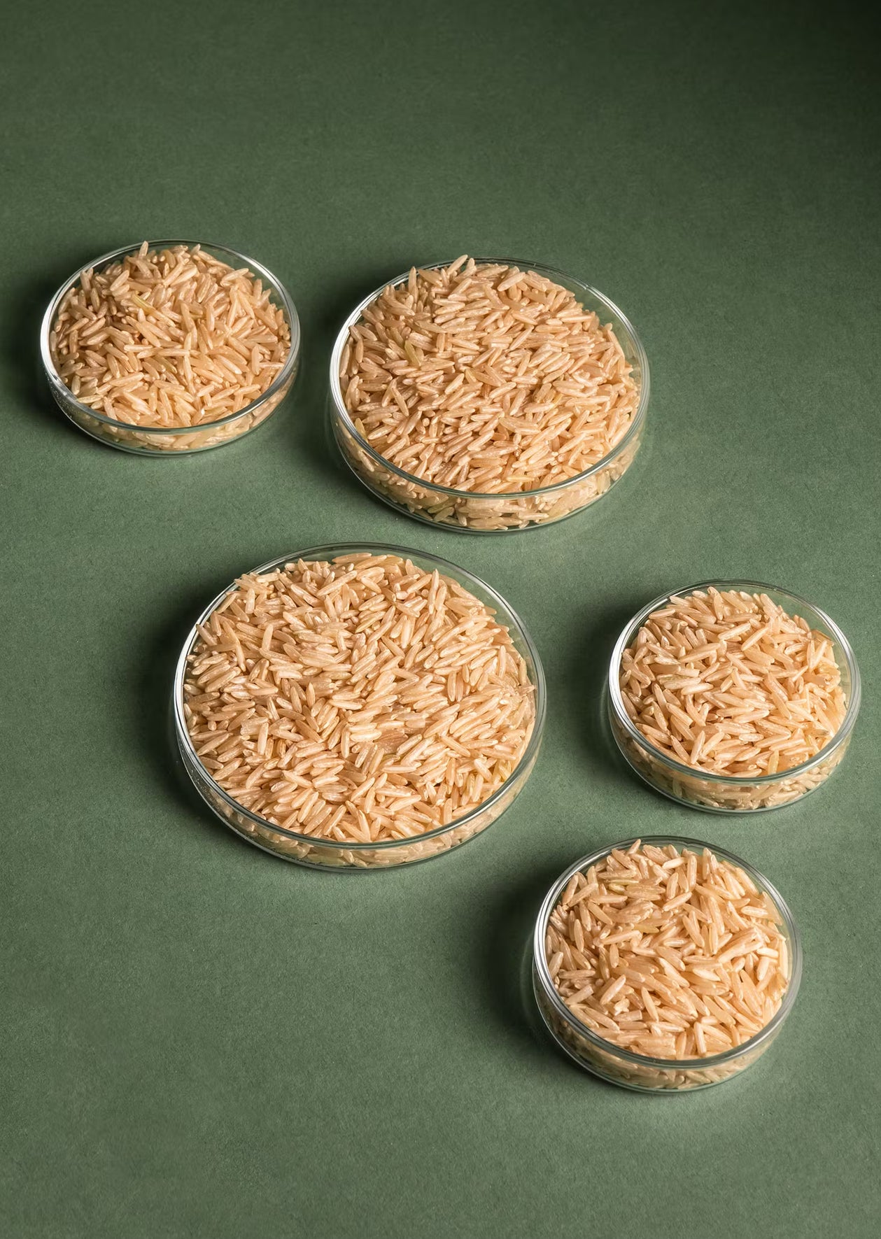 Brauner Bio Basmati Reis 5Kg