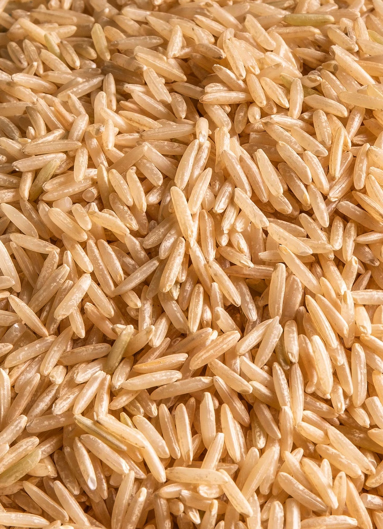 Brauner Bio Basmati Reis 5Kg
