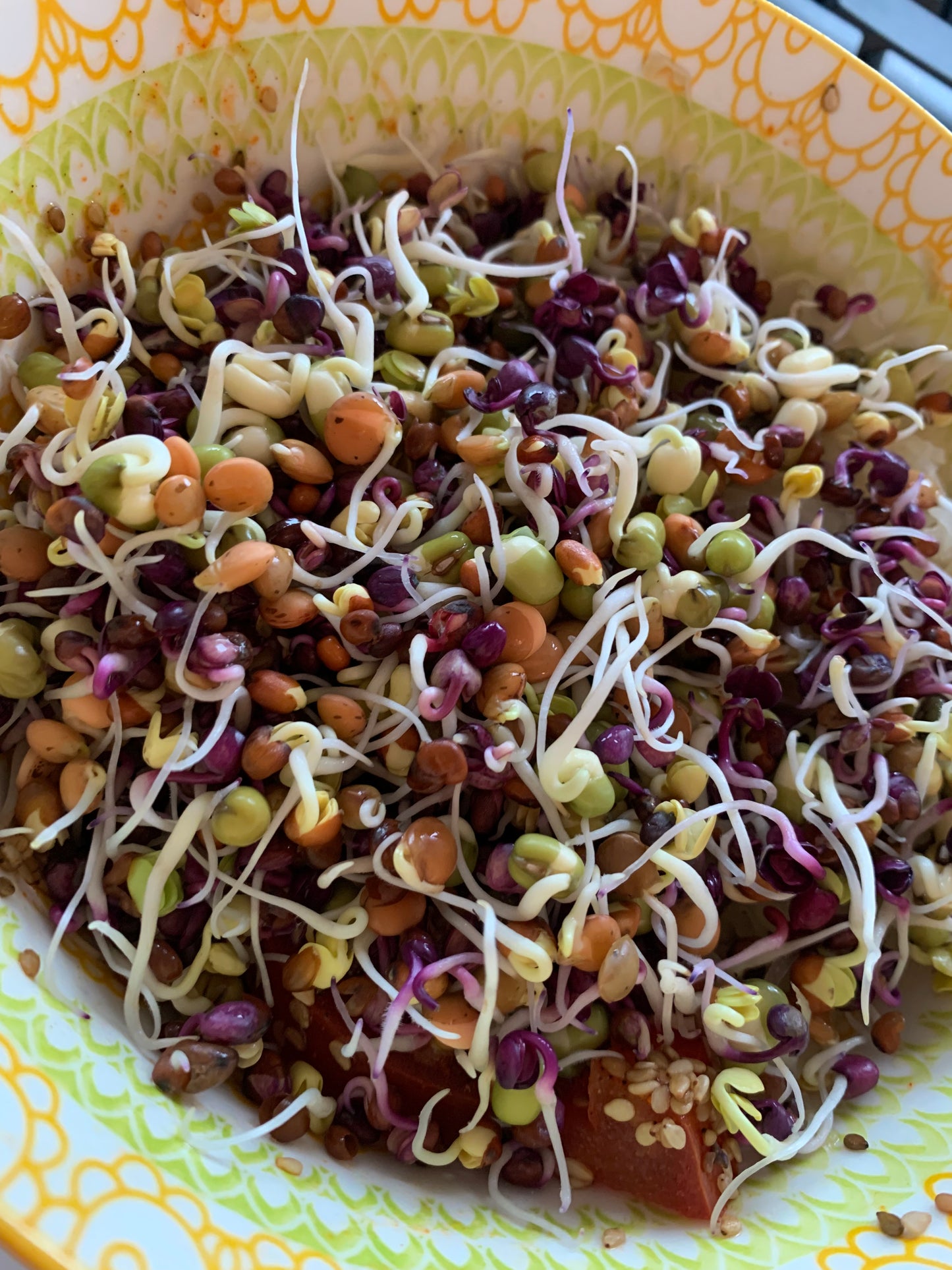 Keimgrün Salat - Sprossenmix