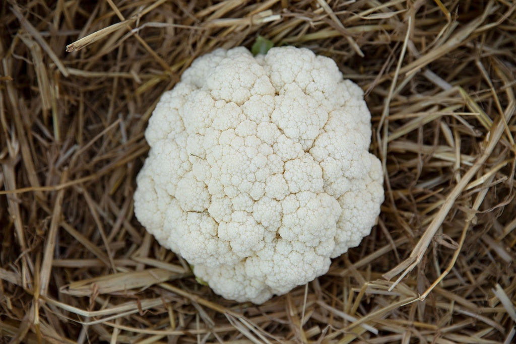 Blumenkohl Winter