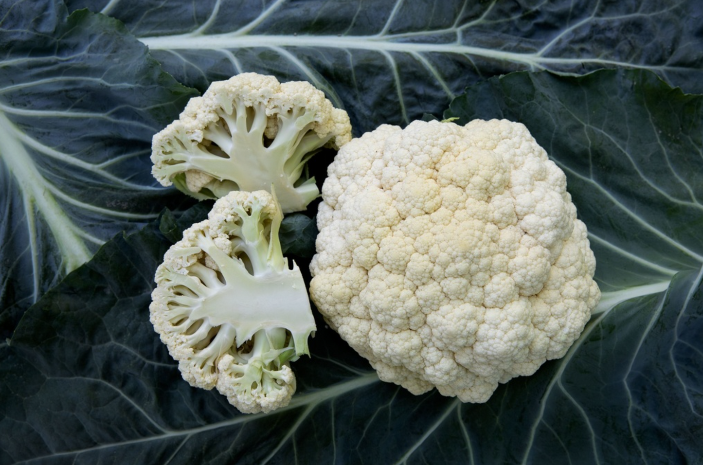 Blumenkohl, Perfection d'Automne