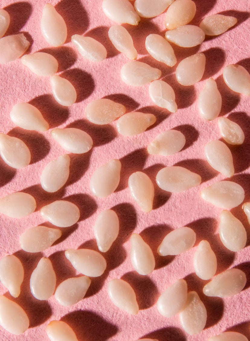 Ungeschälter Bio Sesam 1,5 kg