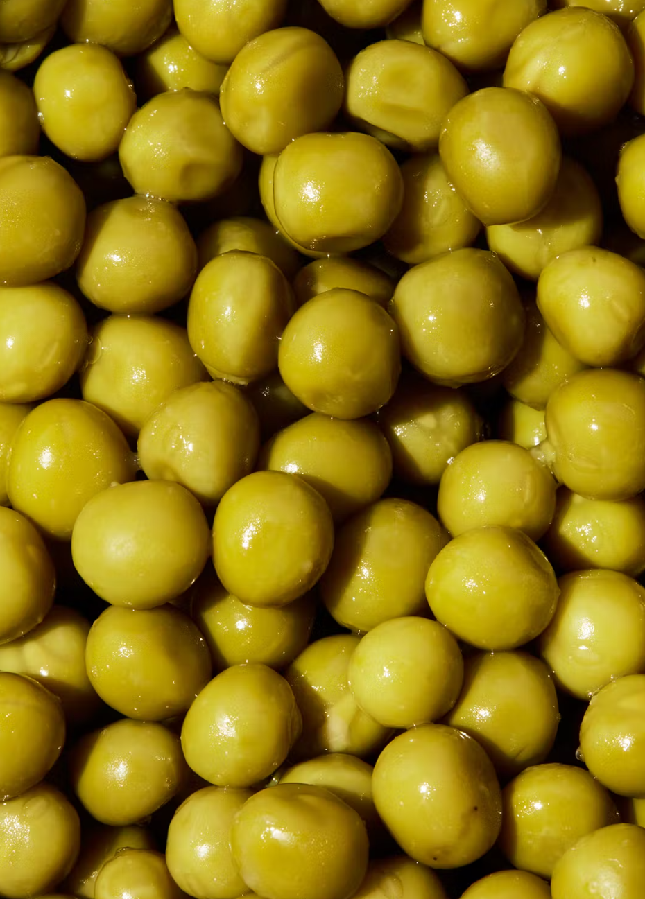Bio Erbsen in der Dose 270 g