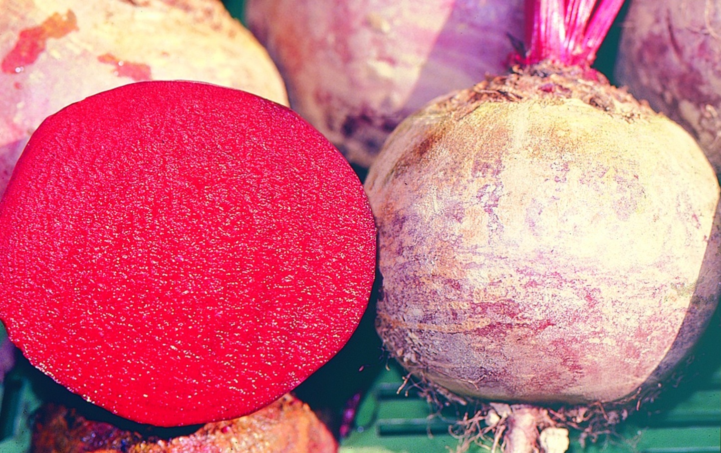Rande, Rote Kugel