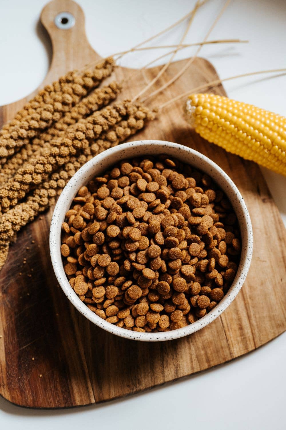 VegDog Simply Crunch Trockenfutter