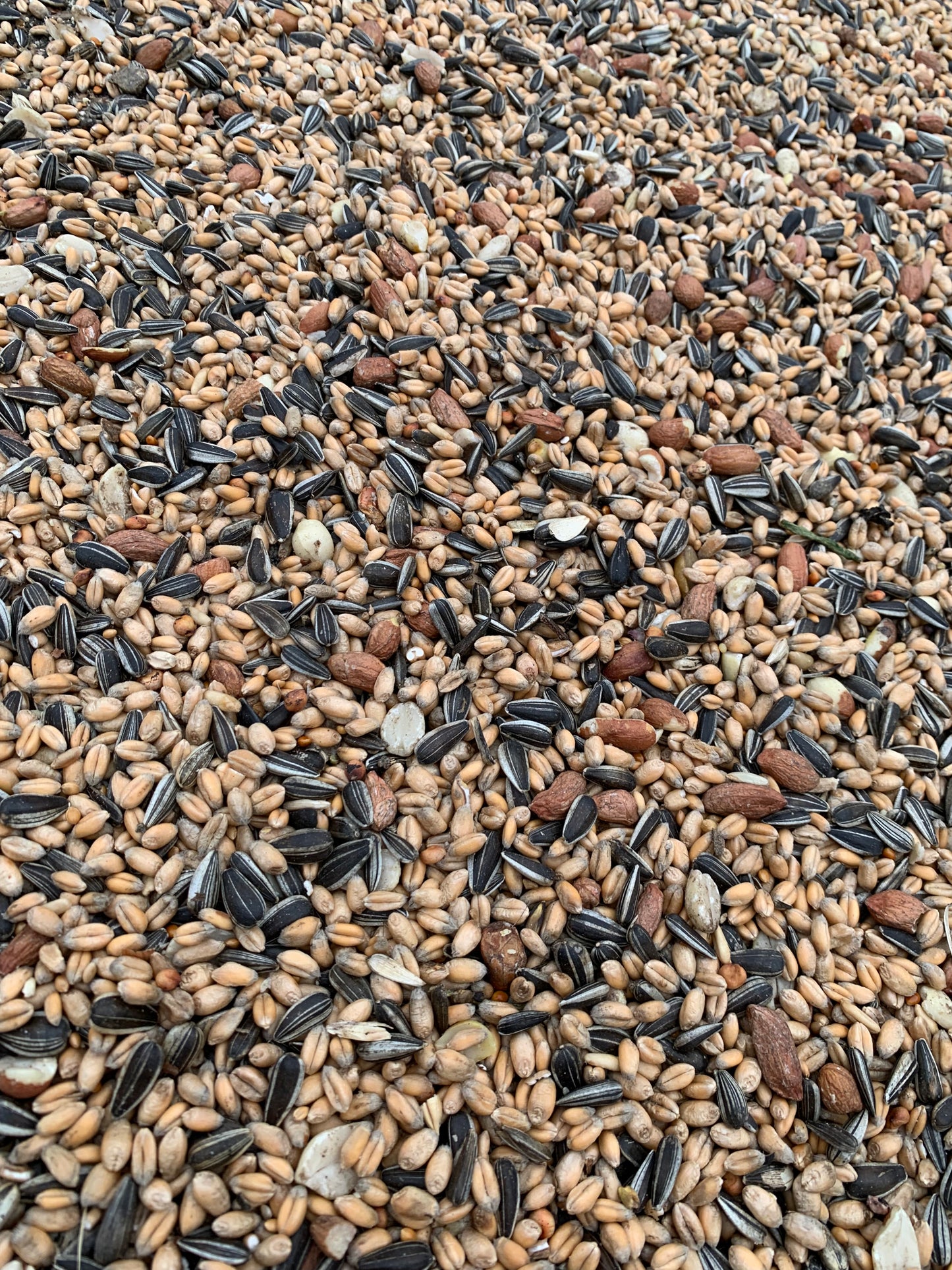 Tim`s Streufutter 10Kg