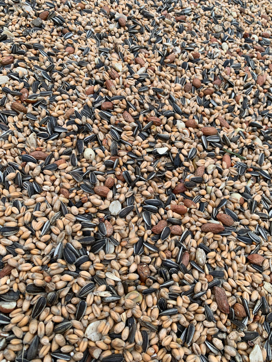 Tim`s Streufutter 10Kg