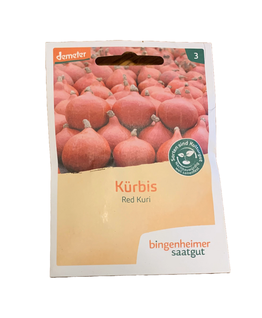 Kürbis "Red Kuri" - Bingenheimer Saatgut - Demeter