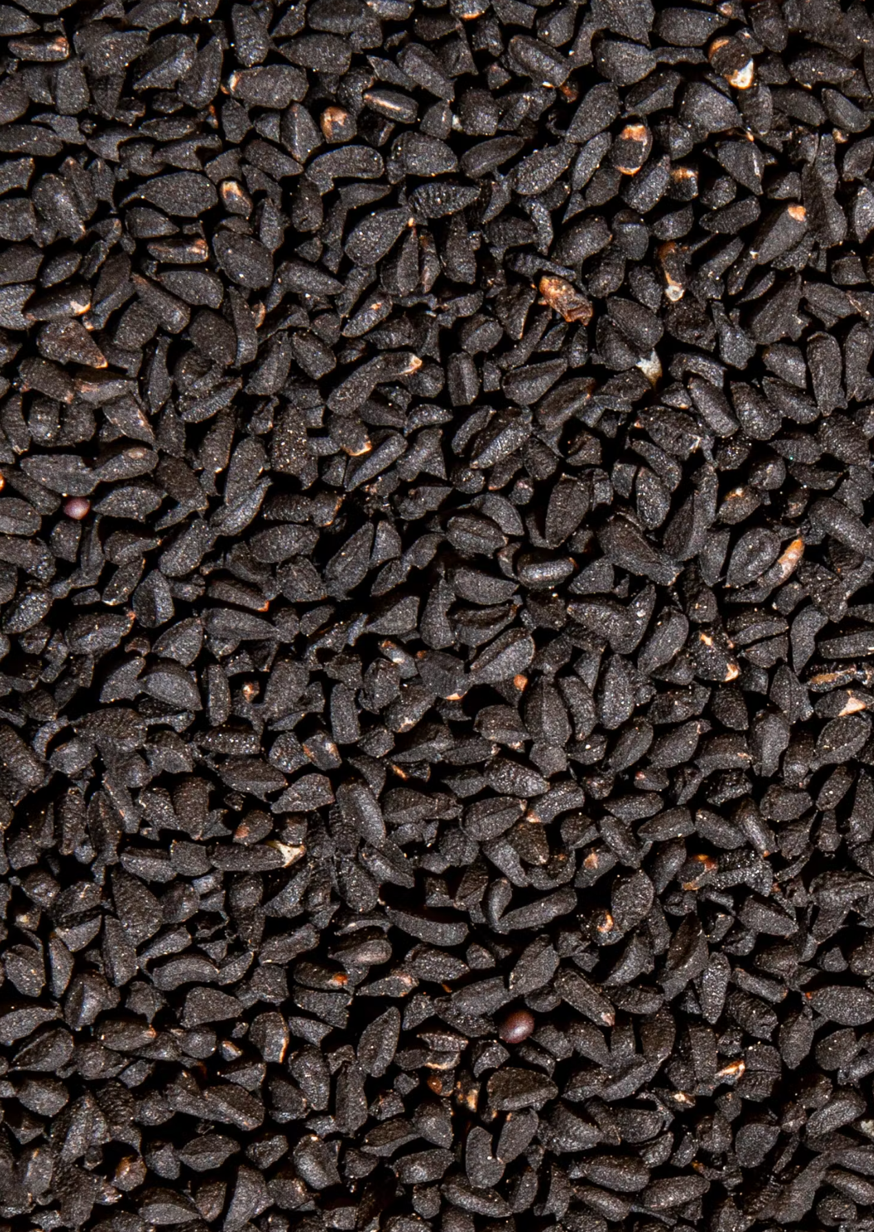 Bio Schwarzkümmel