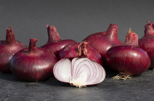 Zwiebeln, Rote Wädenswiler Selektion Z