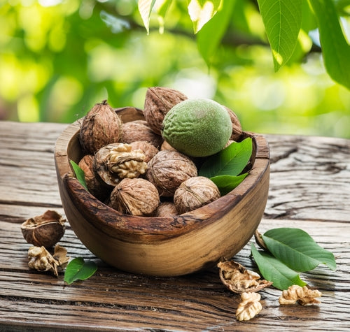 Walnüsse 1Kg in der Schale – natürliches Tier- & Vogelfutter